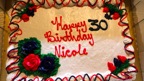 Nicole's 30th - 067